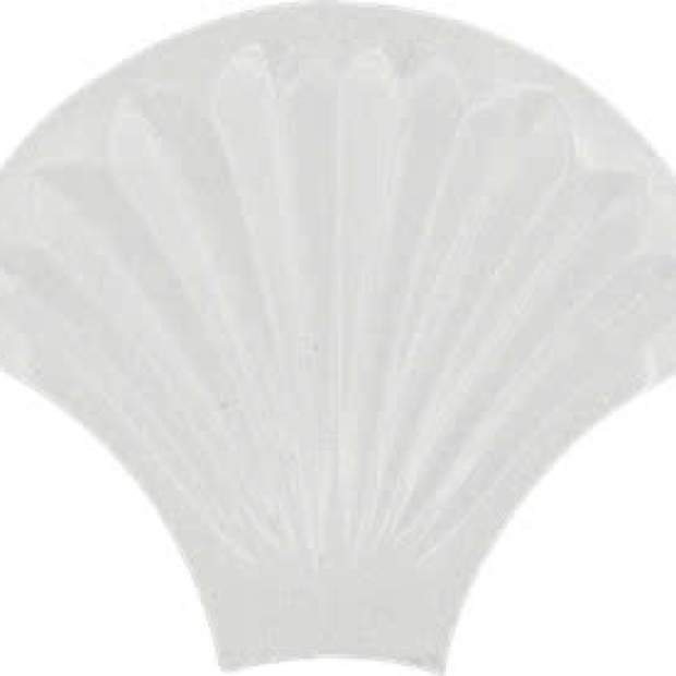 GẠCH 3D VỎ SÒ